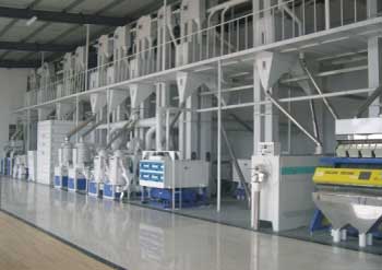 江蘇雪爾樂米業日處理200噸精米生產線